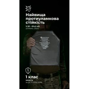 Балістичний пакет під бронеплиту (1 клас | L | 27×33 см | 520 г | НВМПЕ ✡ Ізраїль) ТМ Балістика